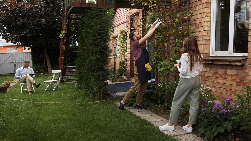 Decadgarden Yard Tips by DecoratorAdvice