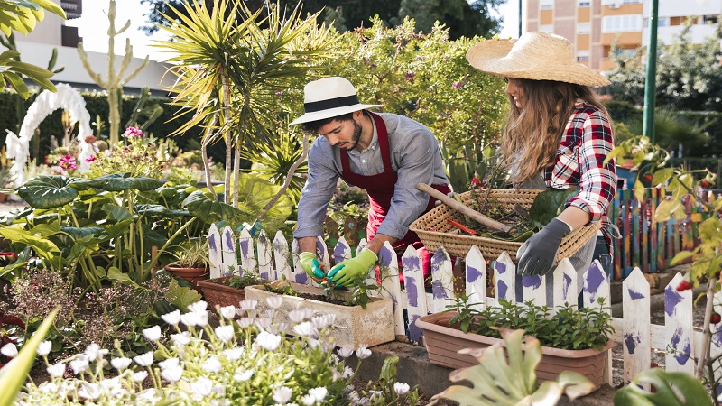 Decoradyard Garden Tips by DecoratorAdvice