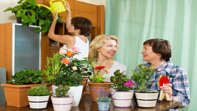 Decoradhouse Garden Tips by Decoratoradvice